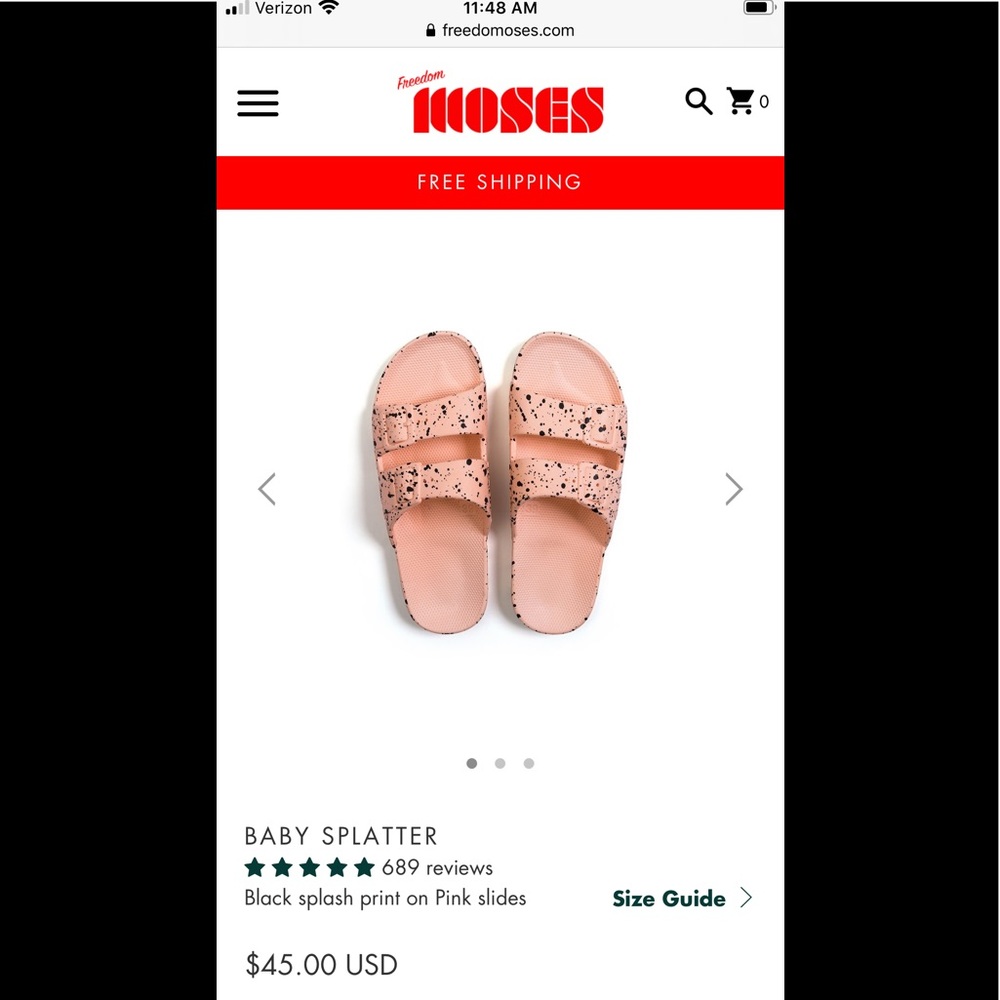 Freedom Moses Slides